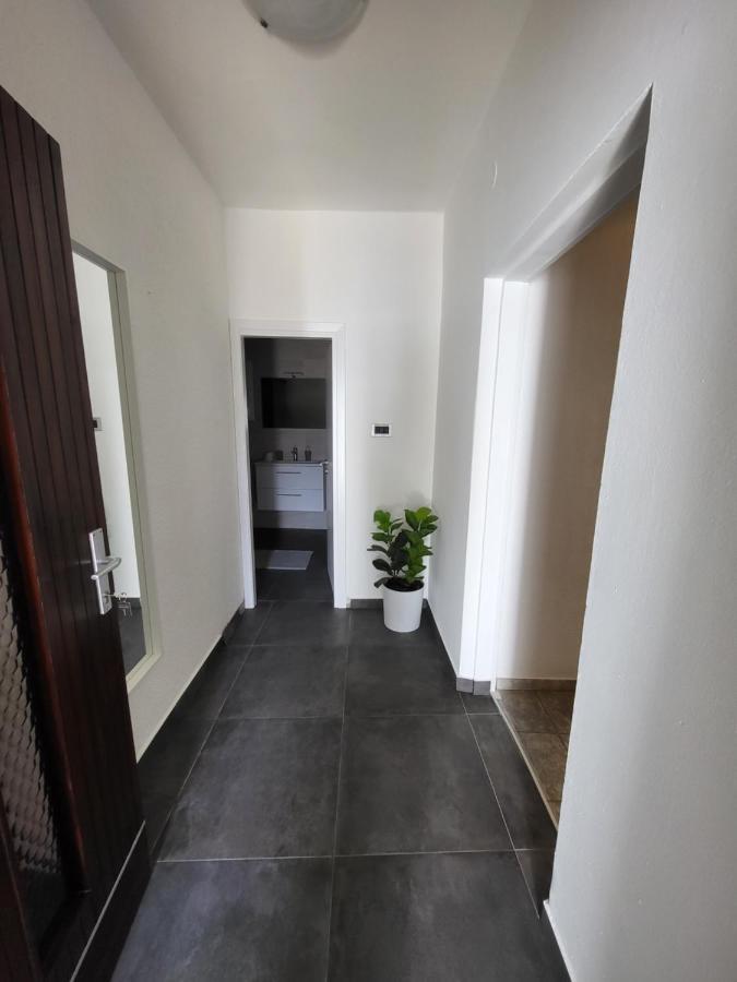 Apartments Vukovic سيلتسي المظهر الخارجي الصورة